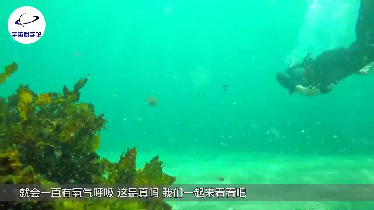 探索世界奥秘,尽在这个全新的能卖多少钱?蜗牛问答平台!
