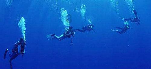 解锁你的智慧,尽在